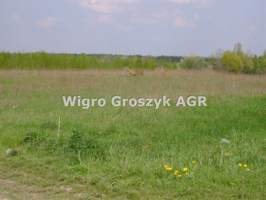 Działka rolna Borzęcin Duży