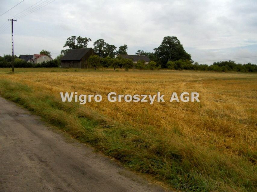 Zdjęcie 2
