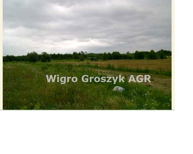 Zdjęcie 3