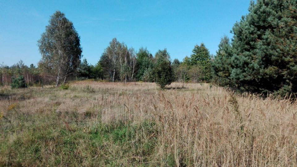 Działka budowlana Leszno