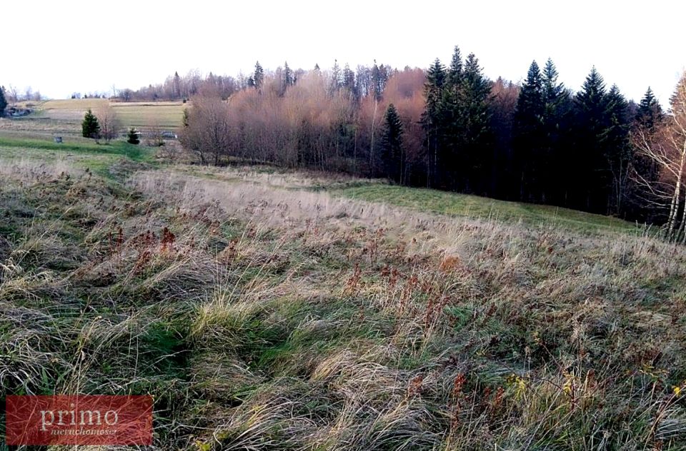 Działka budowlana Laliki