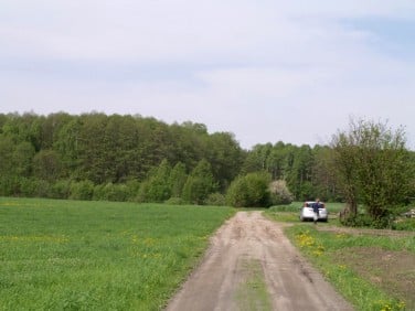 Działka budowlana Elodia