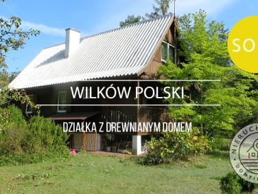 Dom Wilków Polski