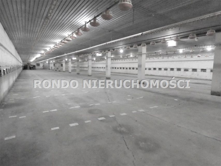 Budynek użytkowy Długołęka