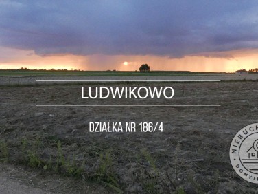 Działka Ludwikowo