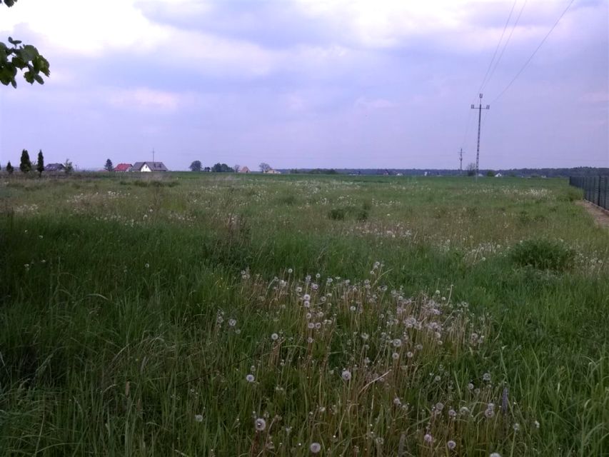 Pusta działka Orzesze