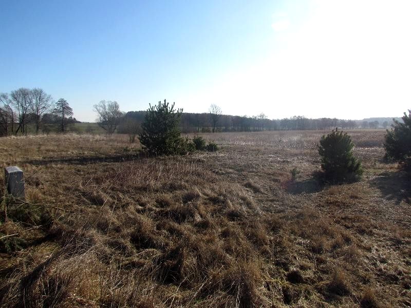 Działka inna Piszkawa