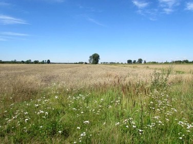 Działka inna Ligota Mała