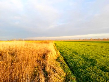 Działka budowlana Nielęgowo