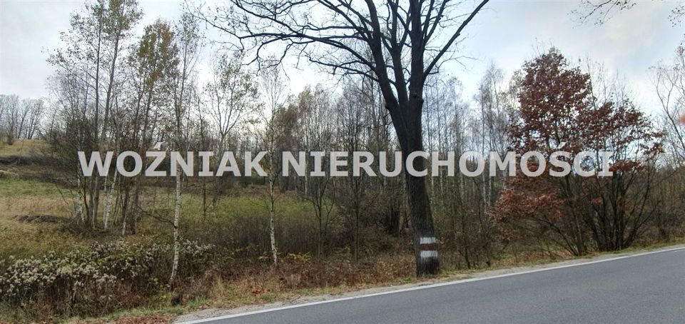 Działka rekreacyjna Olszyniec