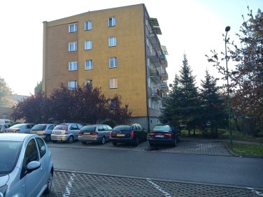 Mieszkanie Wolsztyn