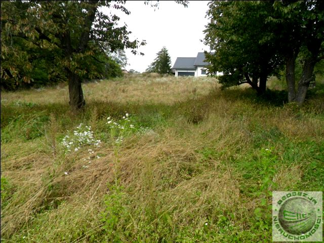 Działka Więckowice