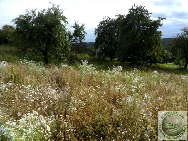 Działka budowlana Więckowice