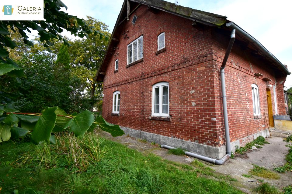 Dom Markusy