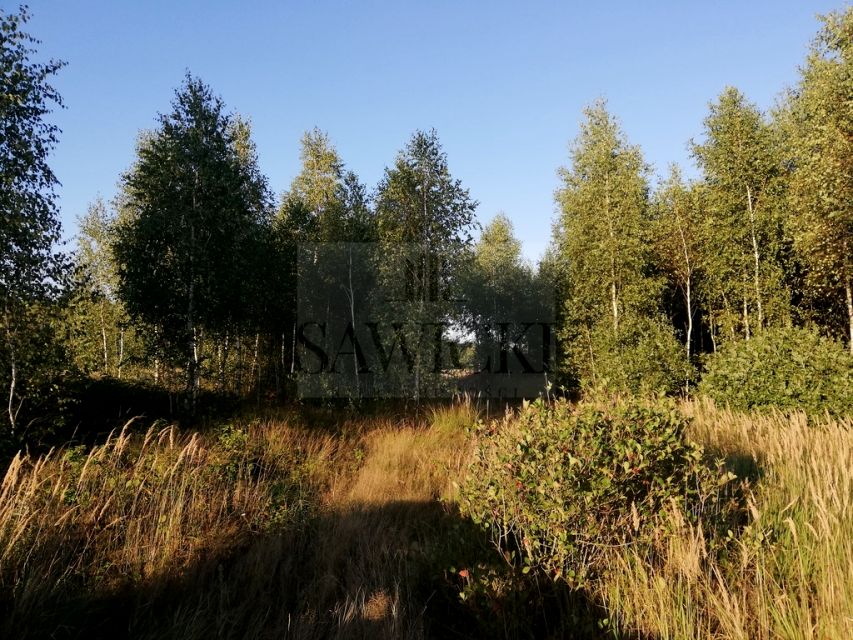 Działka rekreacyjna Orzechów-Kolonia sprzedam