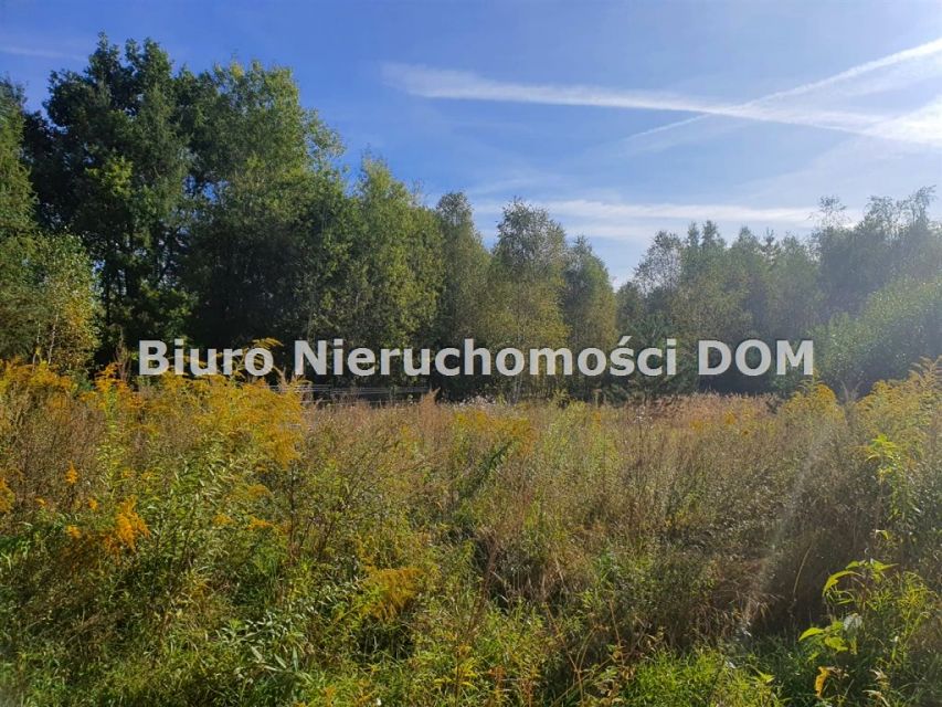 Działka rekreacyjna Brzozowa