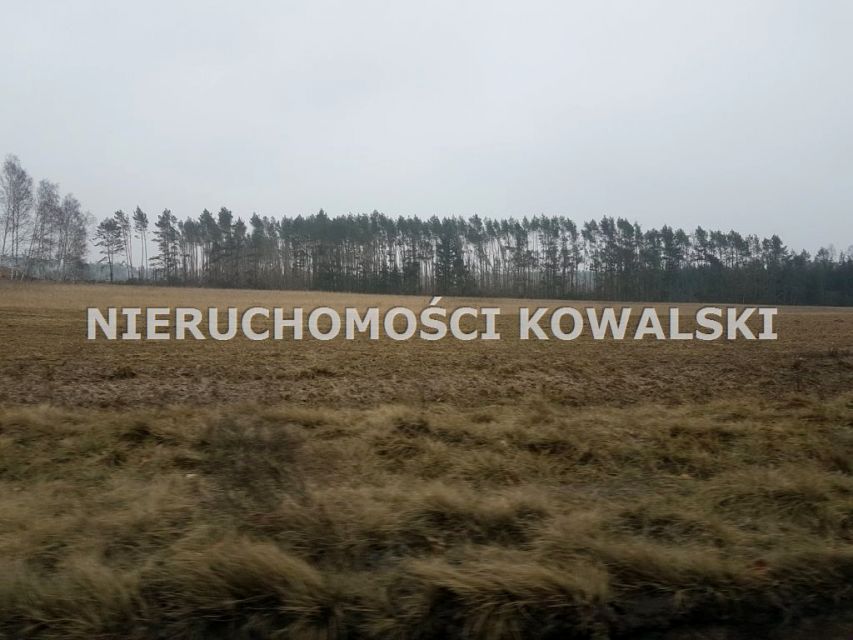 Działka usługowa Śliwice