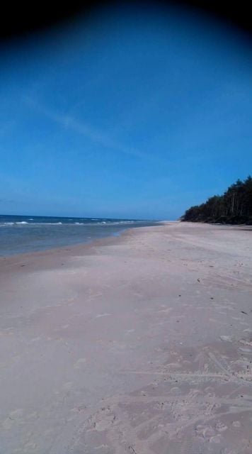 Działka siedliskowa Wojciechowo
