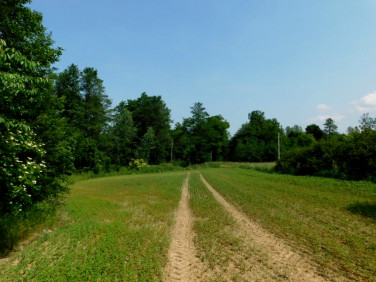 Działka rolna Dolnik