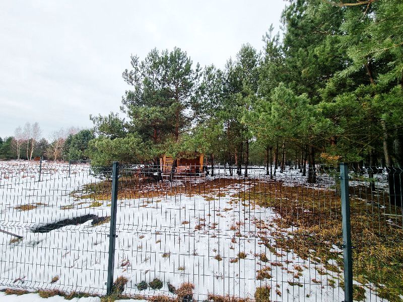 Działka budowlana Krasice