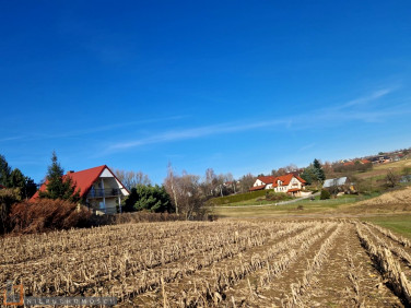 Działka Garliczka