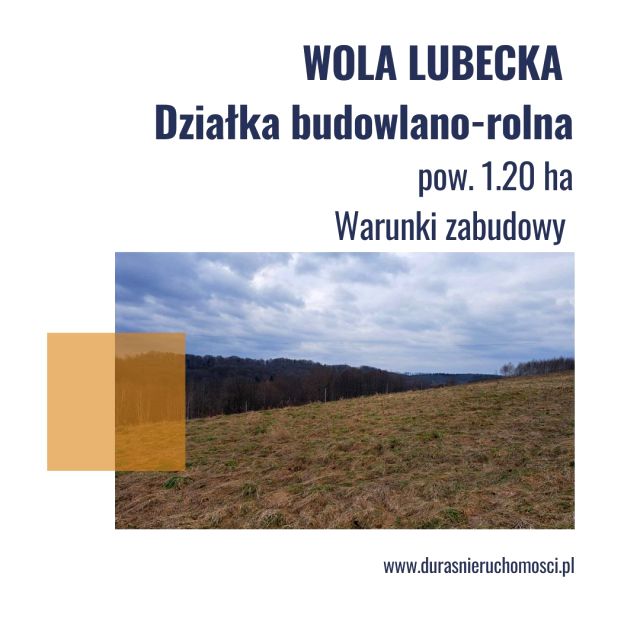 Działka budowlano-rolna Wola Lubecka