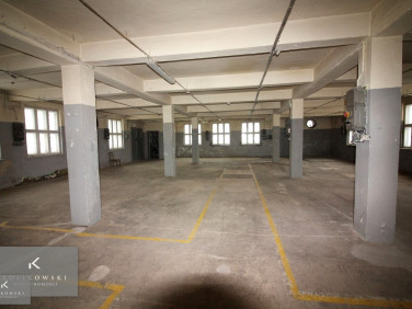 Budynek użytkowy Namysłów wynajem