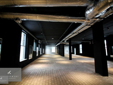 Budynek użytkowy Namysłów wynajem