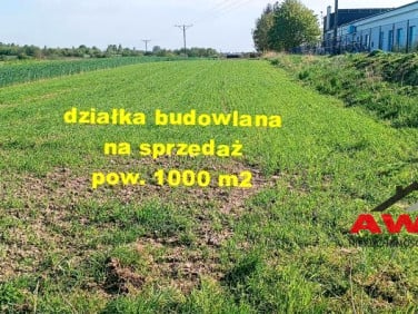 Działka Żelistrzewo