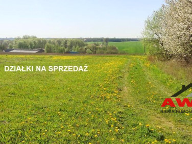 Działka Zdrada