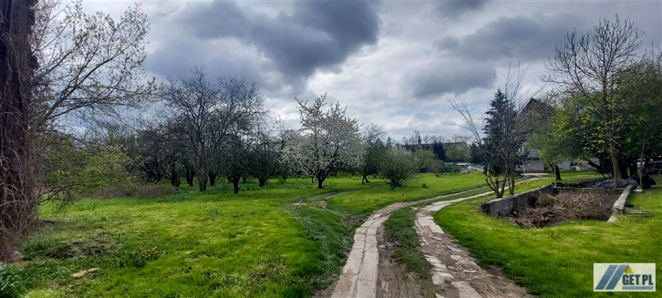 Zdjęcie 3