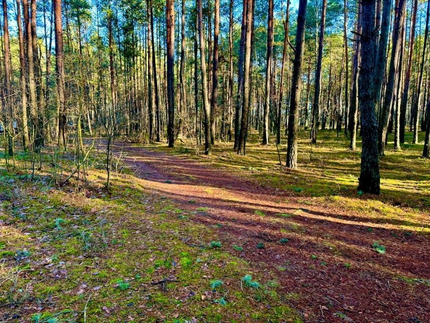 Działka Ostrów