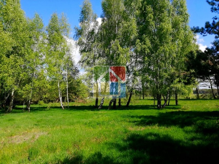 Zdjęcie 2