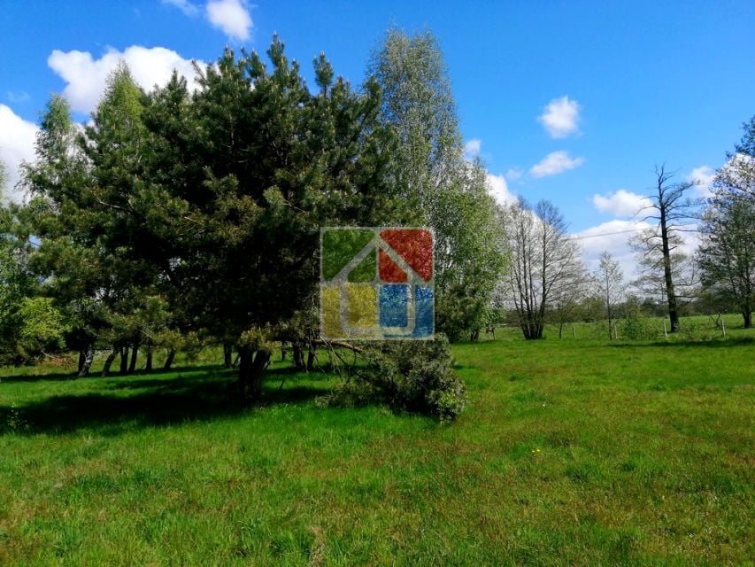 Zdjęcie 3