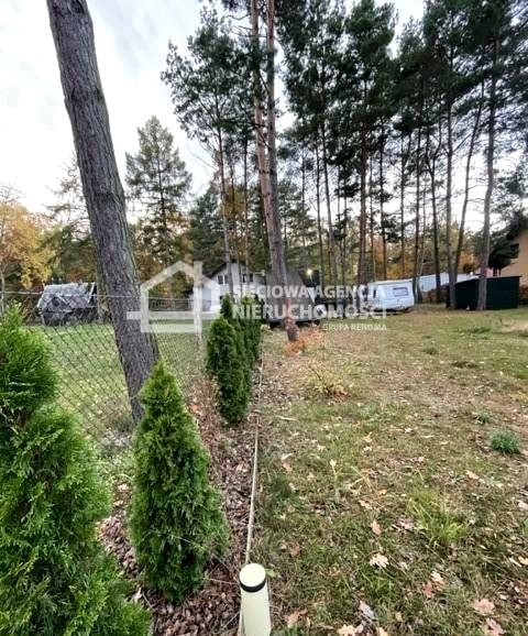 Zdjęcie 3