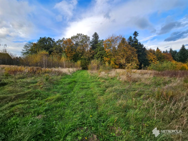 Działka budowlana przy lesie Stary Wiśnicz