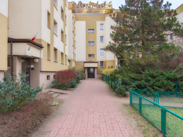 Lokal Warszawa