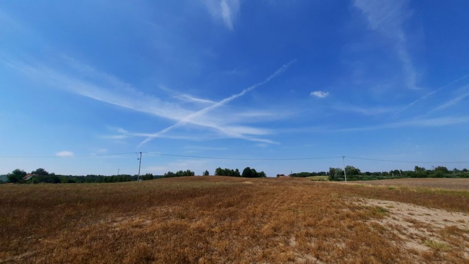 Zdjęcie 2