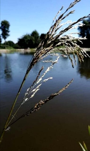 Działka budowlana Słowak