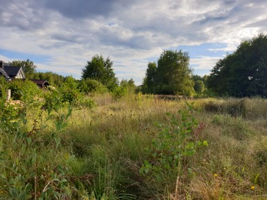 Działka Adamów-Parcel