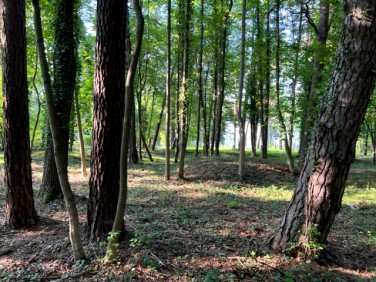 Działka Konstancin-Jeziorna