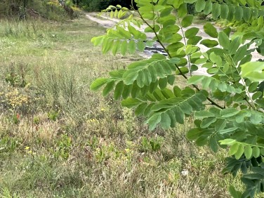 Działka budowlana Stary Kraszew