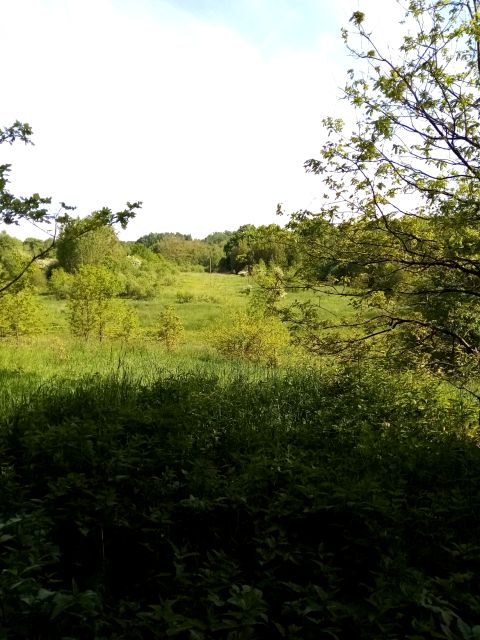 Działka rolna Włosań