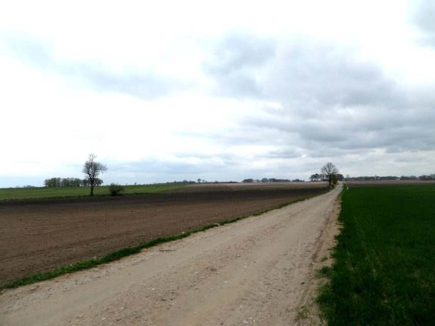 Działka Rokietnica