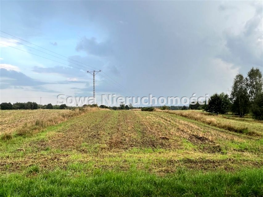 Działka budowlana Mirsk