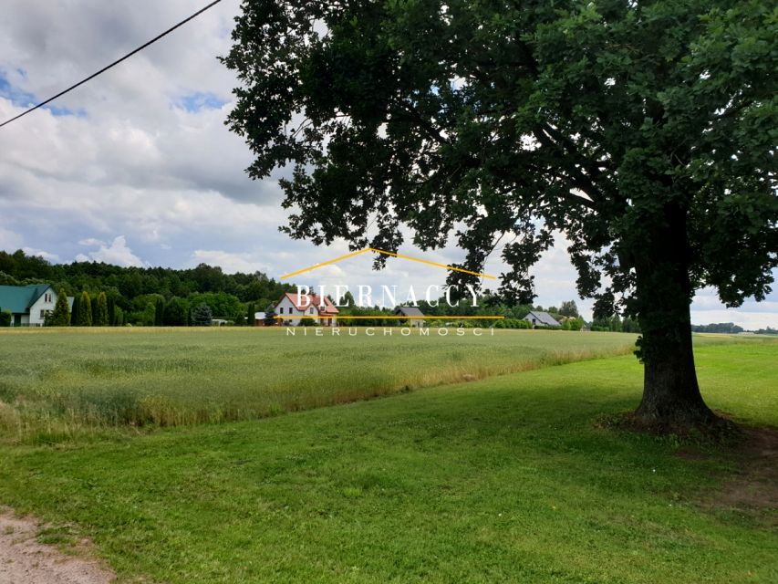 Działka Lewickie-Kolonia