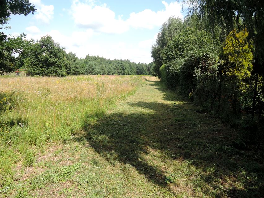 Działka budowlana Młochów