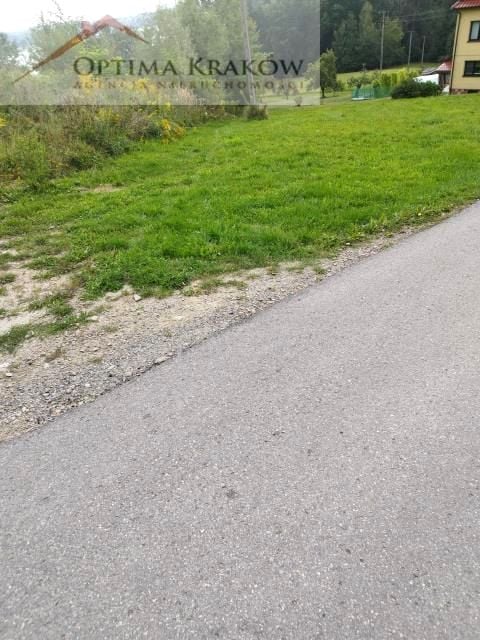 Zdjęcie 3