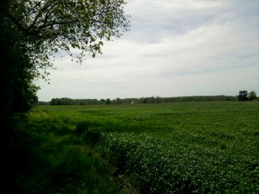 Działka budowlana Połchowo