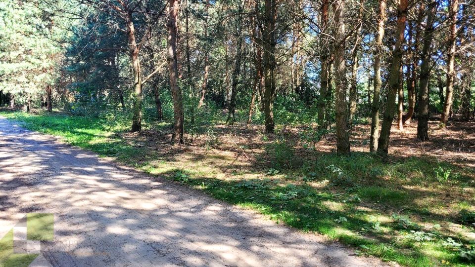 Działka budowlana Leszno